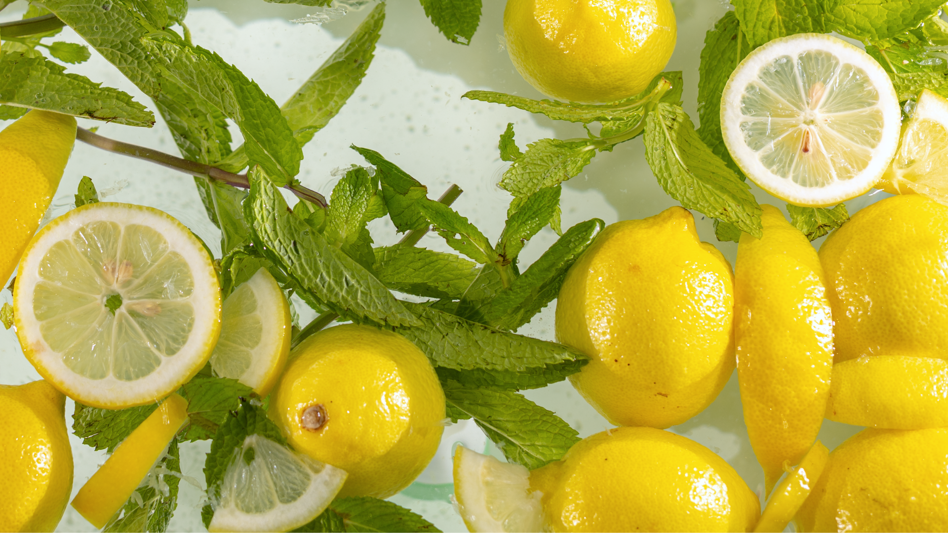 Wild Mint & Lemon