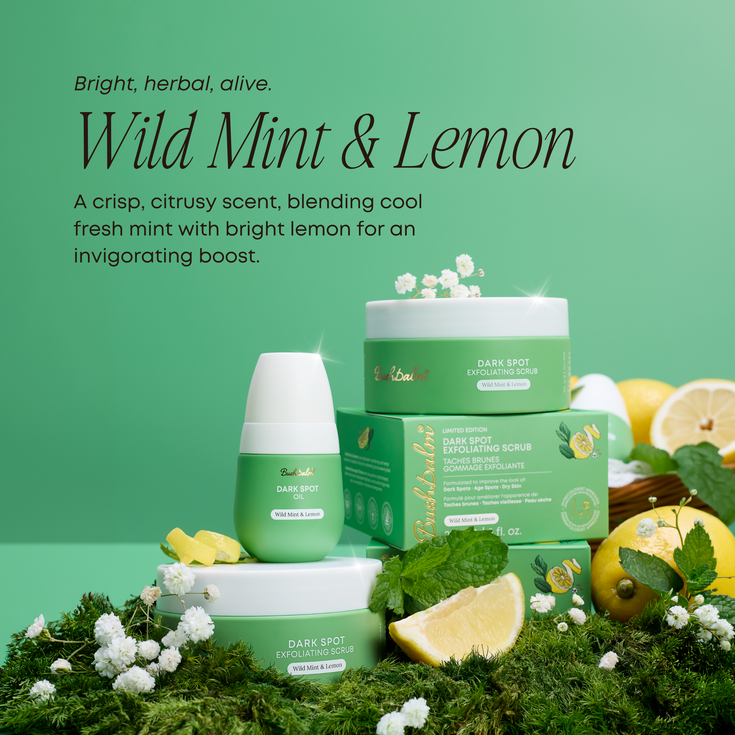 2-Step Dark Spot Routine - Wild Mint & Lemon