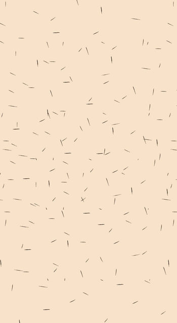 2023 Pubic Hair Trends Pubic Hair Styles Bushbalm