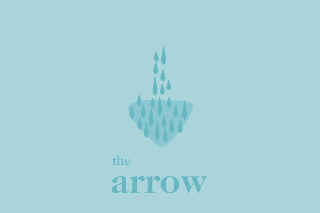 Pubic Hair Style the Arrow