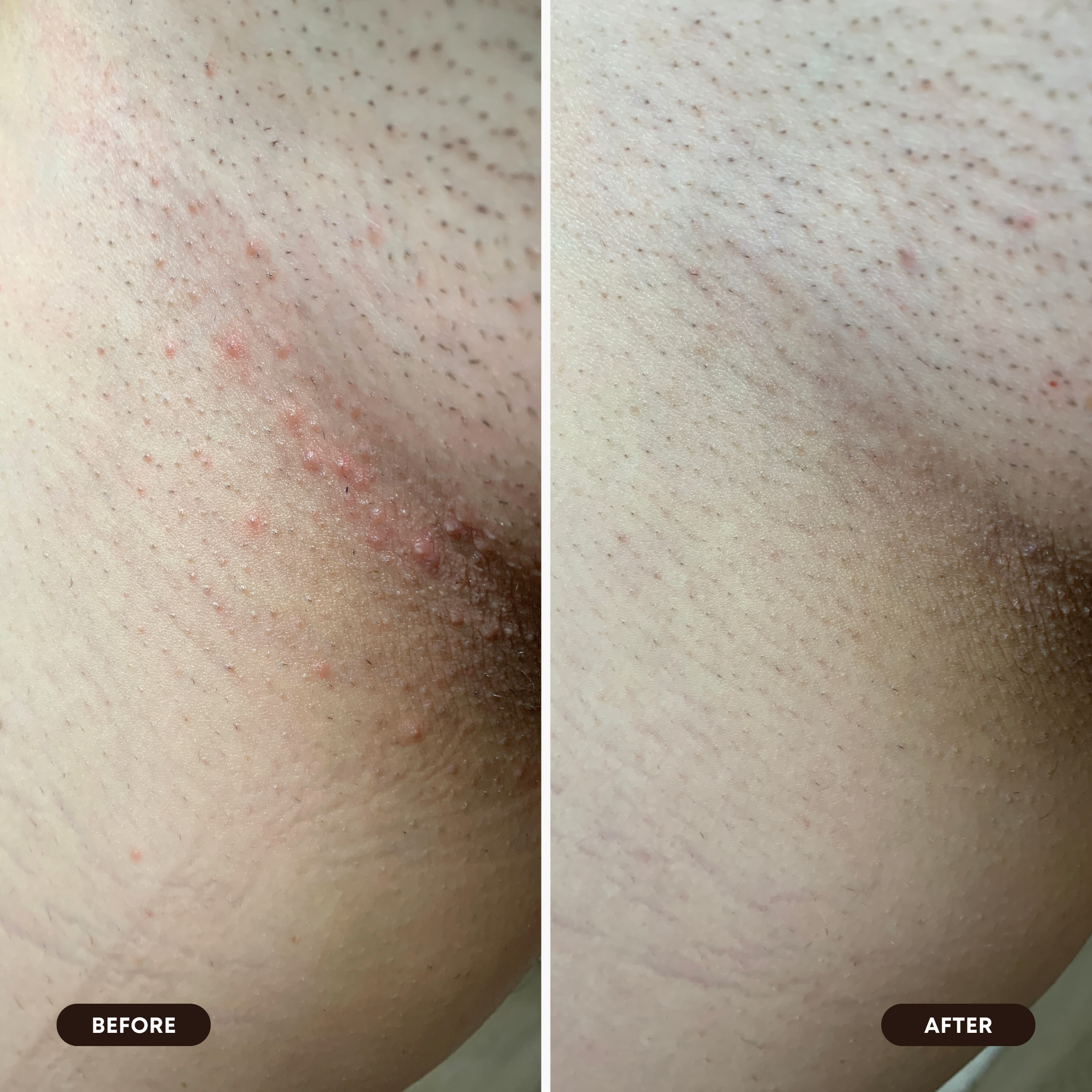 2025 Limited Edition Oil Set